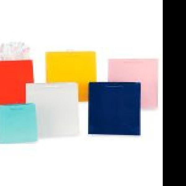 BOLSA BOUTIQUE ITAL. COL.LISOS GOSTECH 20X11.4X26.5 E.10